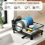 Dish Drying Rack with Drainboard and Utensil Holder - Black