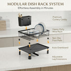 Dish Drying Rack with Drainboard and Utensil Holder - Black