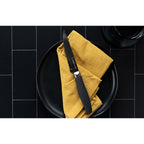 Titan Set of 4 Steak Knives - Black